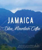 قهوه جاماییکا